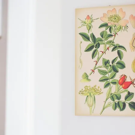 فندق Torre Del Marino بريزيغيلا