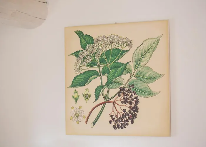 Torre Del Marino Hotell Brisighella