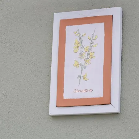 Torre Del Marino 酒店 布里西盖拉