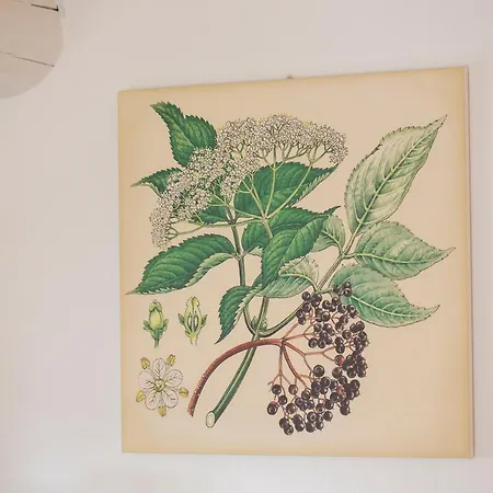 Torre Del Marino 酒店 布里西盖拉